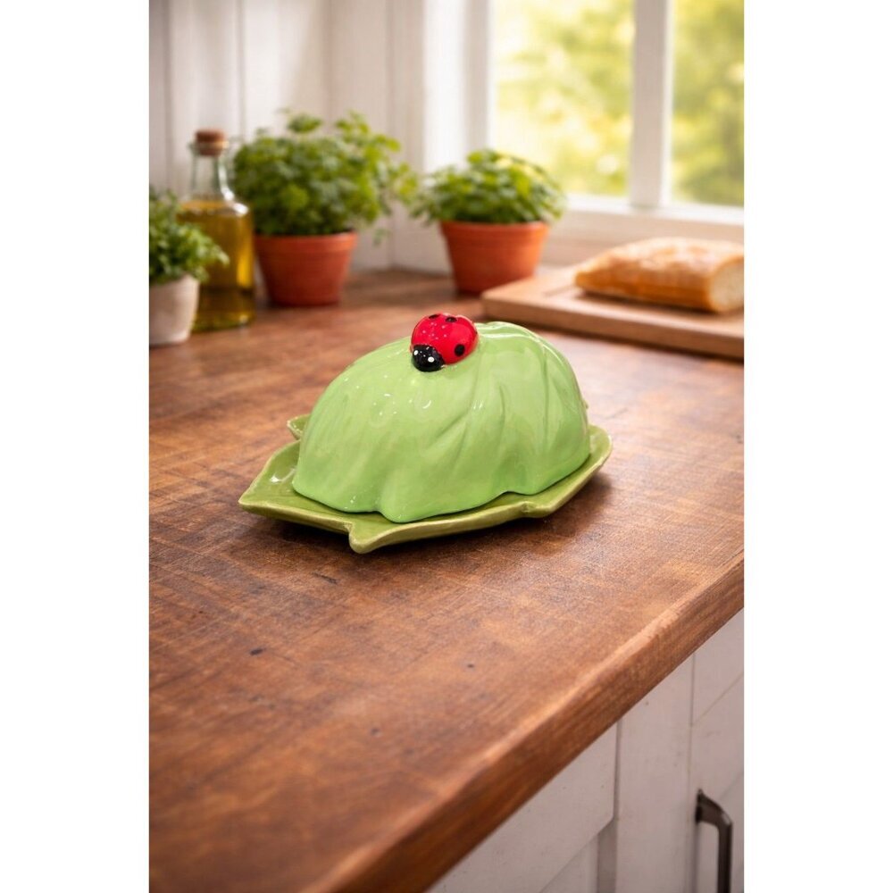 New Summer Time Lady Bug On Leaf Dinning Kitchen BBQ Party Storage Butter Dish